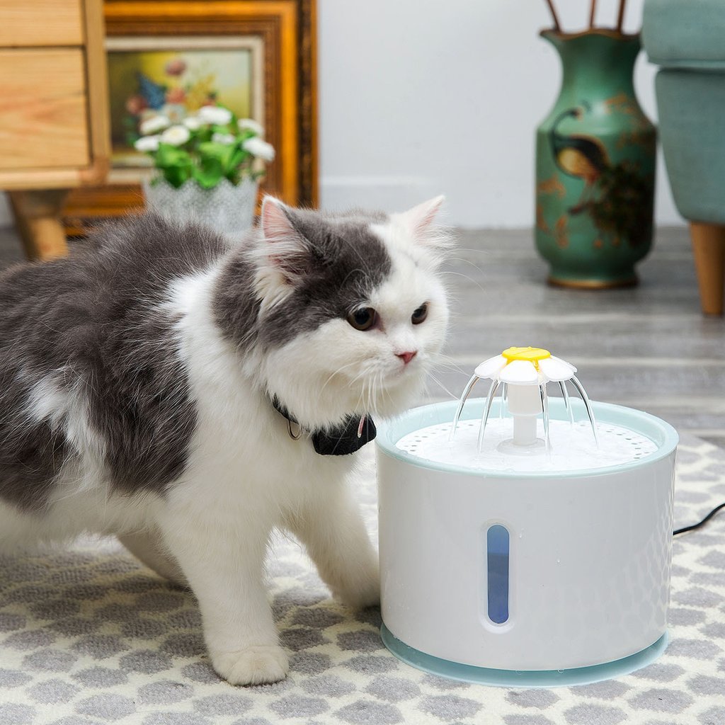 Ape Basics: Pet Electric Water Dispenser