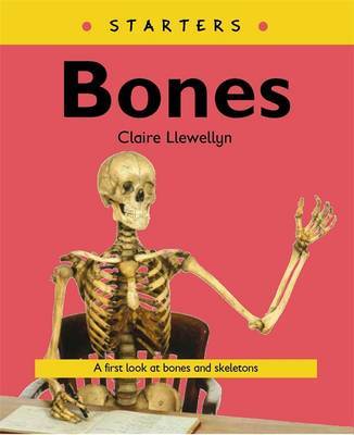 Starters: Bones by Claire Llewellyn image
