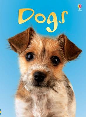 Dogs by Emma Helbrough image