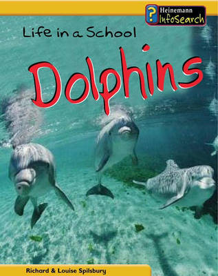 Life in a School of Dolphins by Louise Spilsbury image