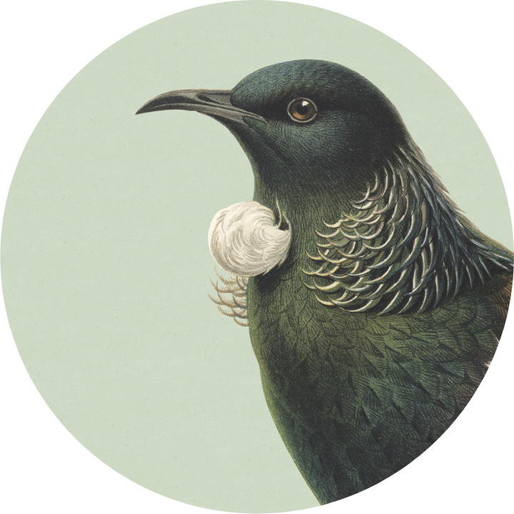 100 Percent NZ Tui Cork Backed Placemat at Mighty Ape NZ