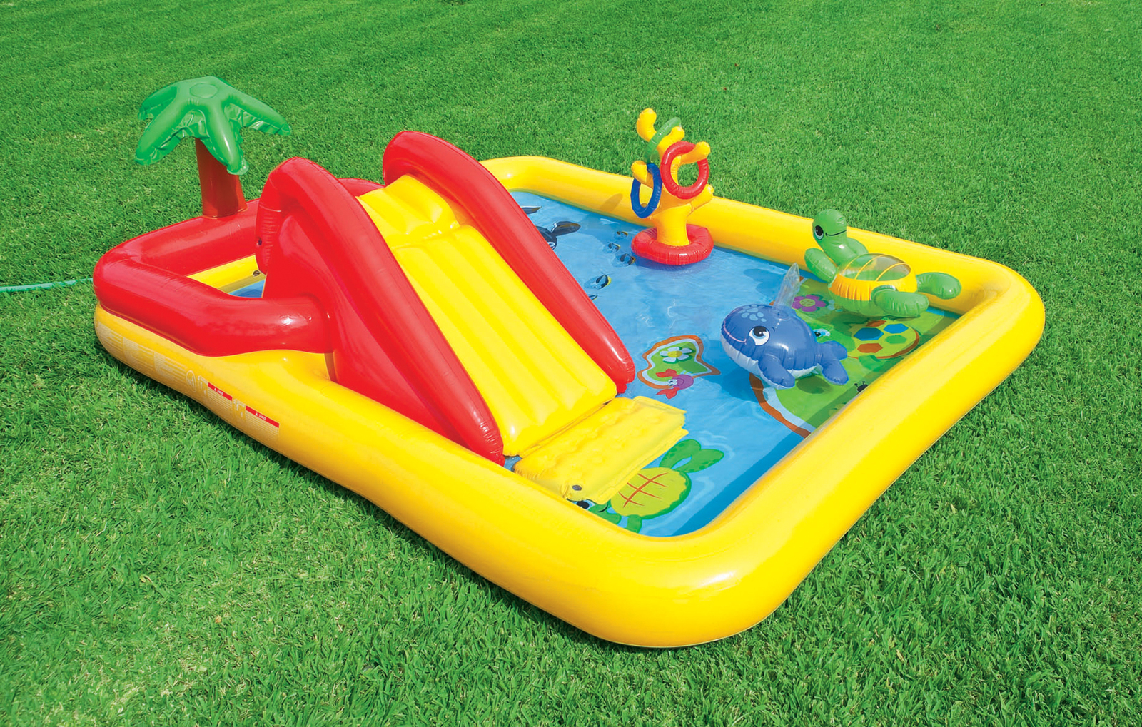Buy Intex Ocean Play Center at Mighty Ape NZ