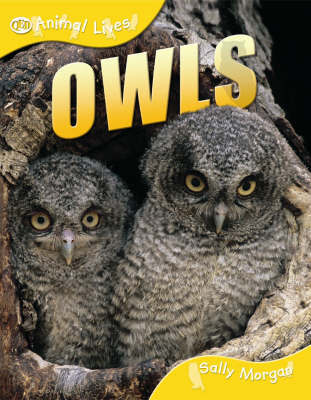 Owls by Sally Morgan image