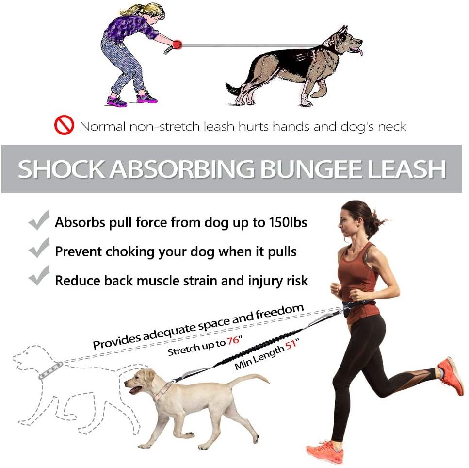 Buy HandsFree Runner Dog Leash & Bag Medium/Large Dogs at Mighty Ape NZ