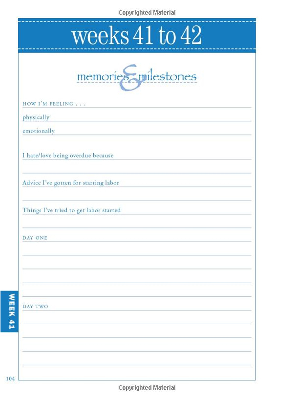 What To Expect Pregnancy Journal Organizer Heidi Murkoff Book Buy what-to-expect-pregnancy-journal-organizer-heidi-murkoff-book-buy