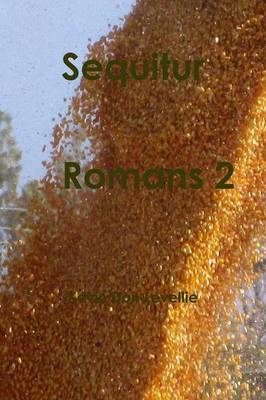 Sequitur Romans 2 by Kevin Don Levellie image