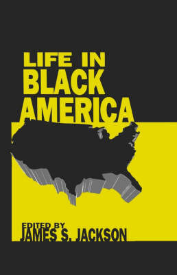 Life in Black America image