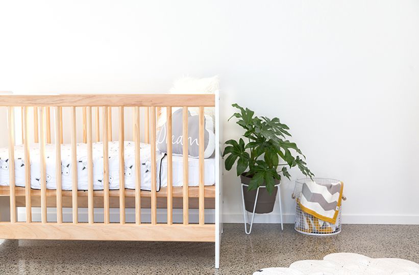 cariboo cot