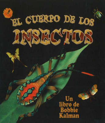 El Cuerpo de Los Insectos (Insect Bodies) by Bobbie Kalman image