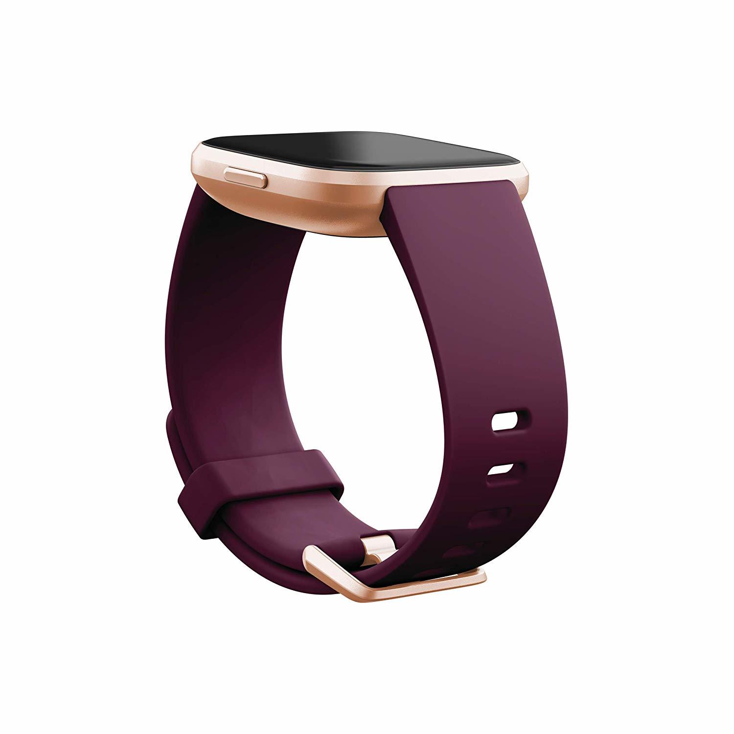 Fitbit Versa 2 Health & Fitness Smartwatch - Bordeaux/Copper Rose image