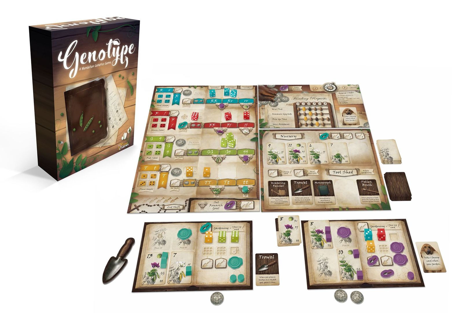 Genotype Board Game At Mighty Ape Australia