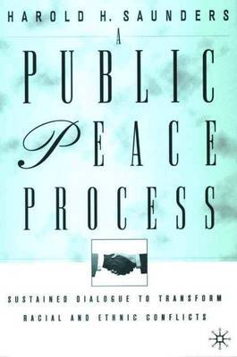 A Public Peace Process by H. Saunders image