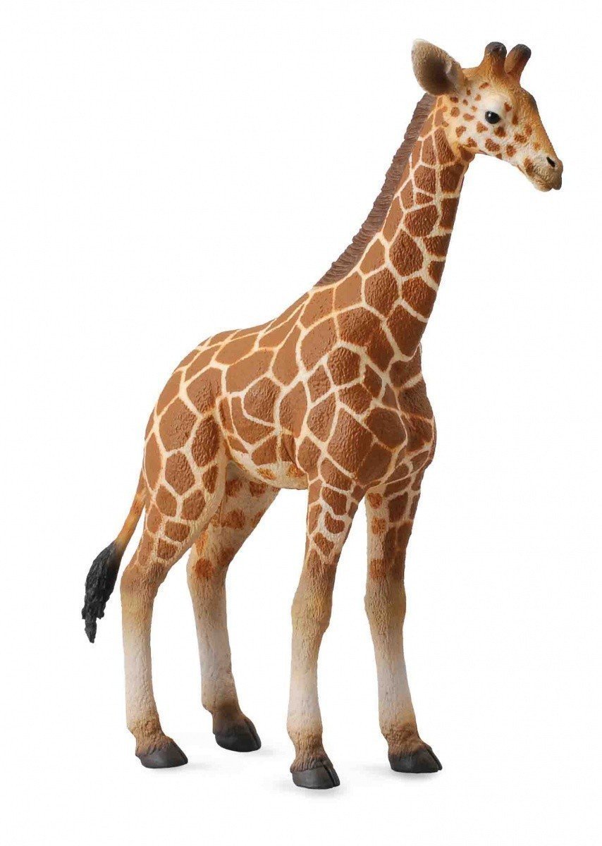 CollectA - Reticulated Giraffe Calf image