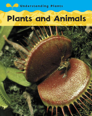 Plants and Animals by Claire Llewellyn image