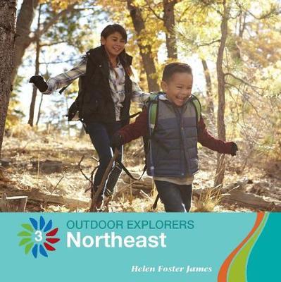 Northeast by Helen Foster James image