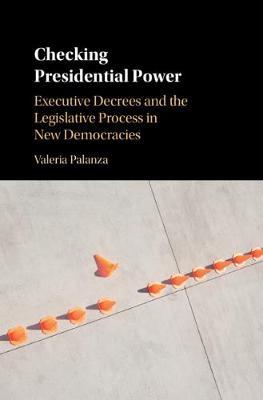 Checking Presidential Power by Valeria Palanza image