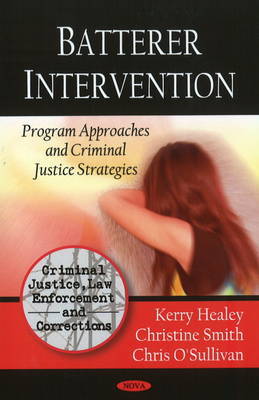 Batterer Intervention on Hardback by Kerry Healey