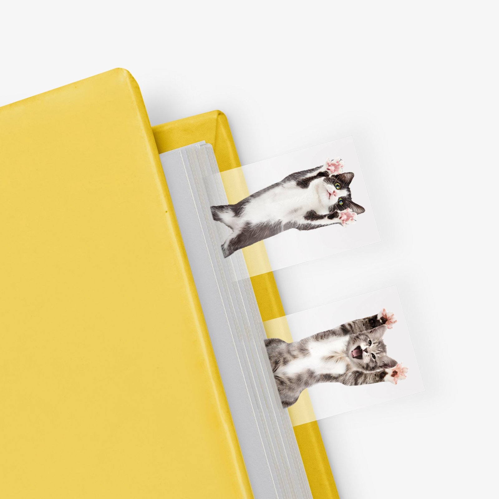 Cat in a Book - Themed Page Markers (100 sheets) image