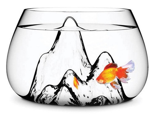 Glasscape Fish Bowl Terrarium at Mighty Ape NZ