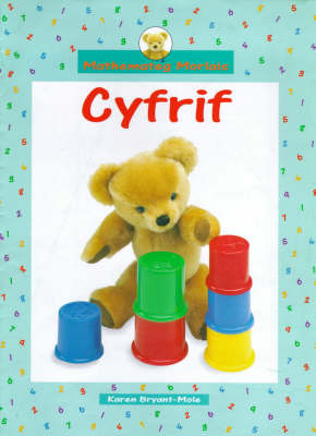 Cyfrif by Karen Bryant-Mole image