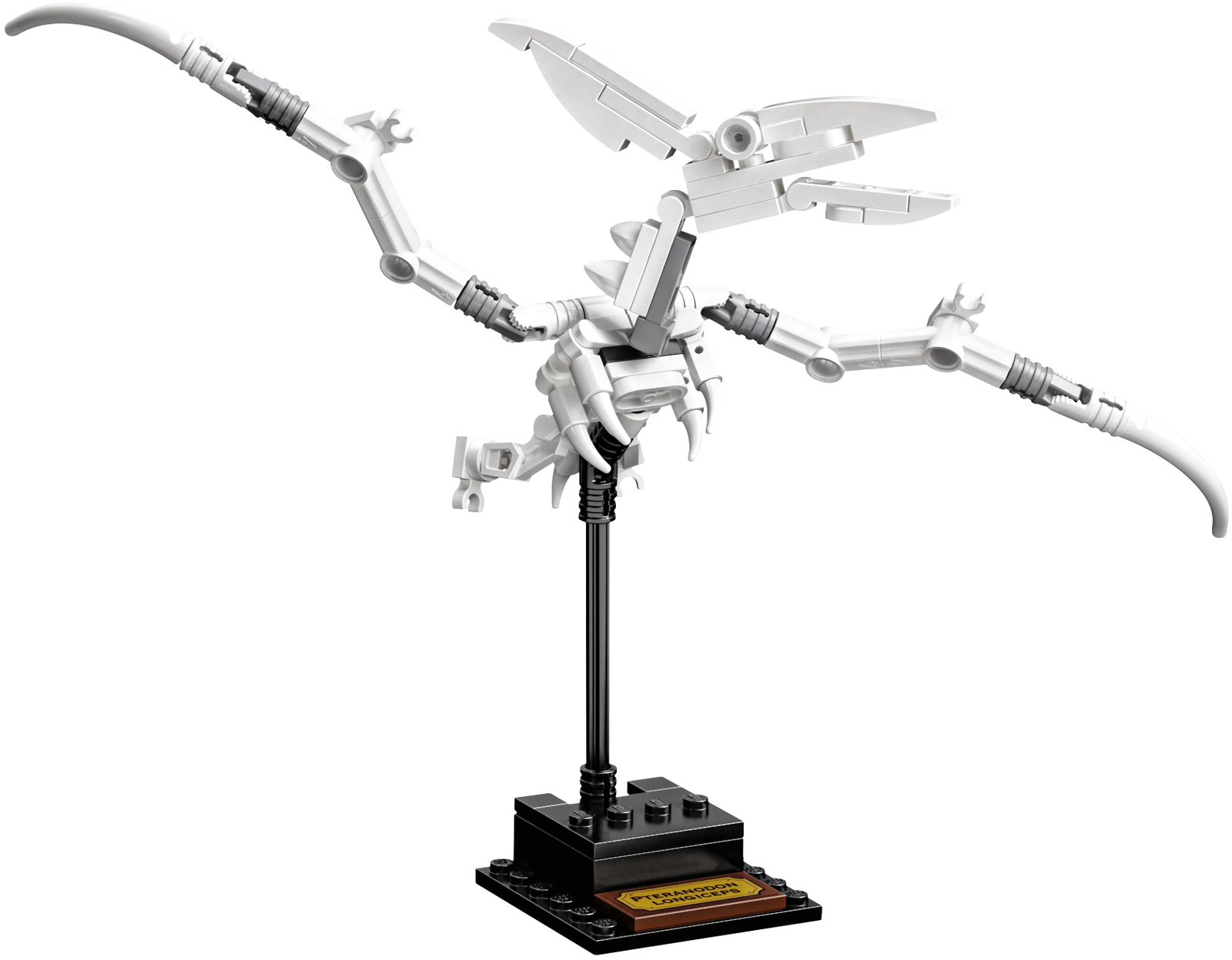 LEGO Ideas: Dinosaur Fossils (21320) image