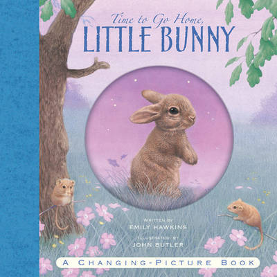 Time to Go Home Little Bunny on Hardback by Emily Hawkins