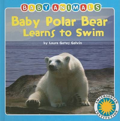 Baby Polar Bear Learns to Swim image