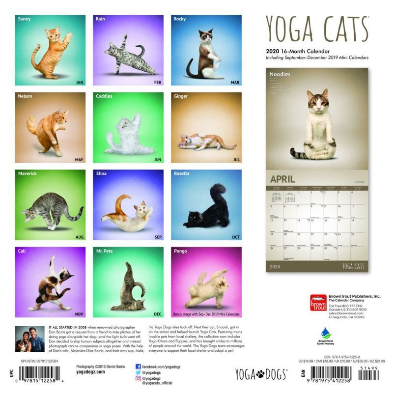 Yoga Cats 2020 Square Wall Calendar image