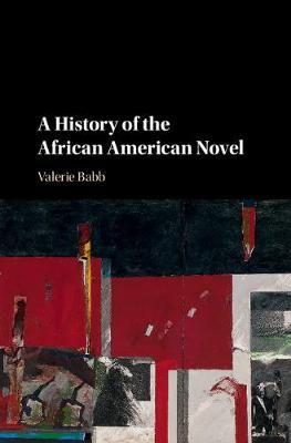 A History of the African American Novel by Valerie Babb image