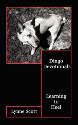 Dingo Devotionals by Lynne Scott image