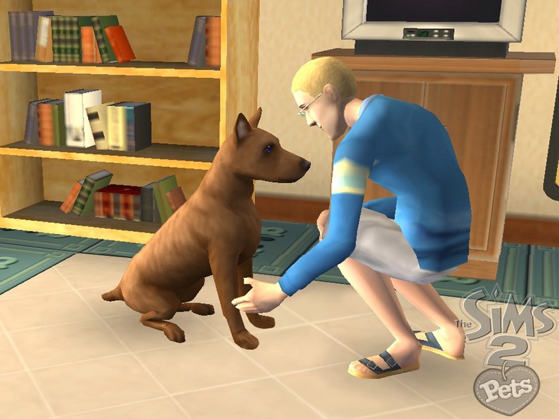 The Sims 2: Pets for Nintendo Wii image