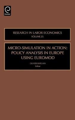 Micro-Simulation in Action on Hardback