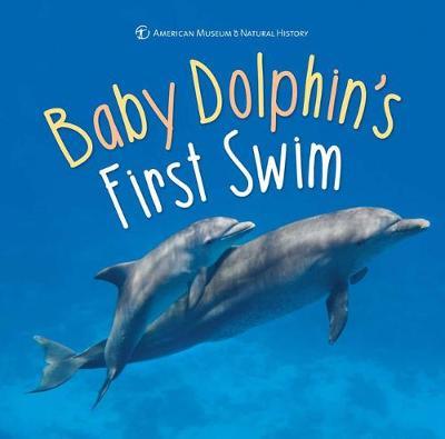 Baby Dolphin's First Swim by American Museum of Natural History image