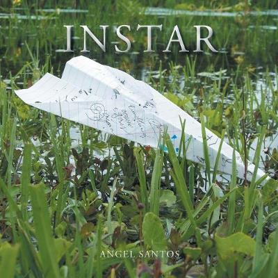 Instar by Angel Santos image