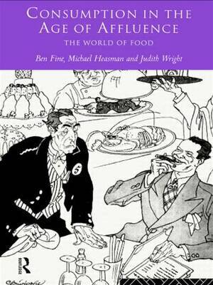 Consumption in the Age of Affluence by Ben Fine image