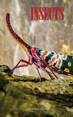 Insects Weekly Planner 2016: 16 Month Calendar by Jack Smith image