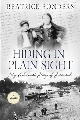 Hiding in Plain Sight by Beatrice Sonders image