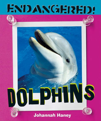Dolphins by Johannah Haney image
