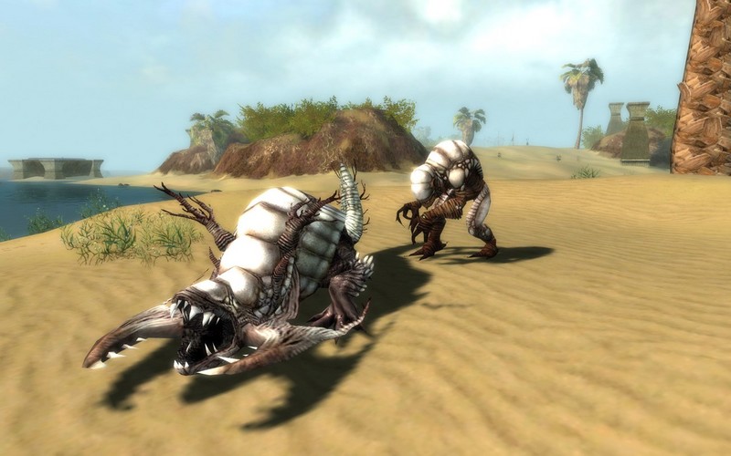 Guild Wars: Nightfall Collector's Edition on PC