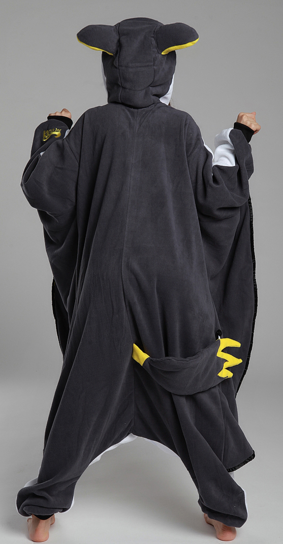 sugar glider - Bing images