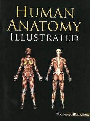Human Anatomy Illustrated by B. Jain image