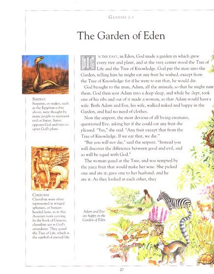 The Children's Illustrated Bible image