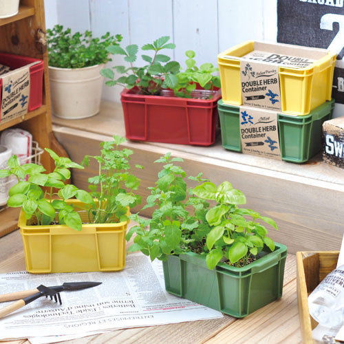 Double Herb Planter Kit Basil Mint At Mighty Ape Nz