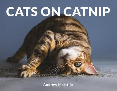 Cats on Catnip by Andrew Marttila image