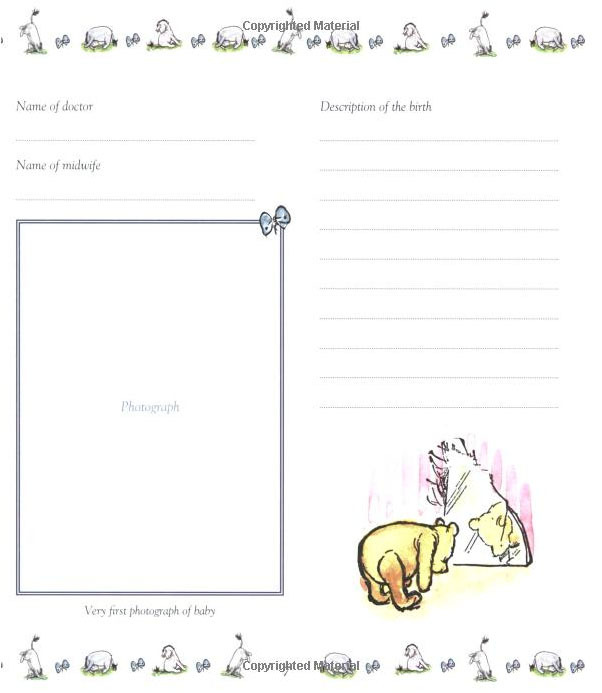 Winnie the Pooh Baby Days - Record Book image
