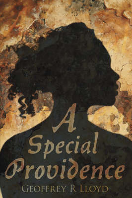 A Special Providence by Geoffrey, R LLoyd image