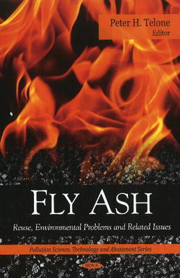 Fly Ash on Hardback