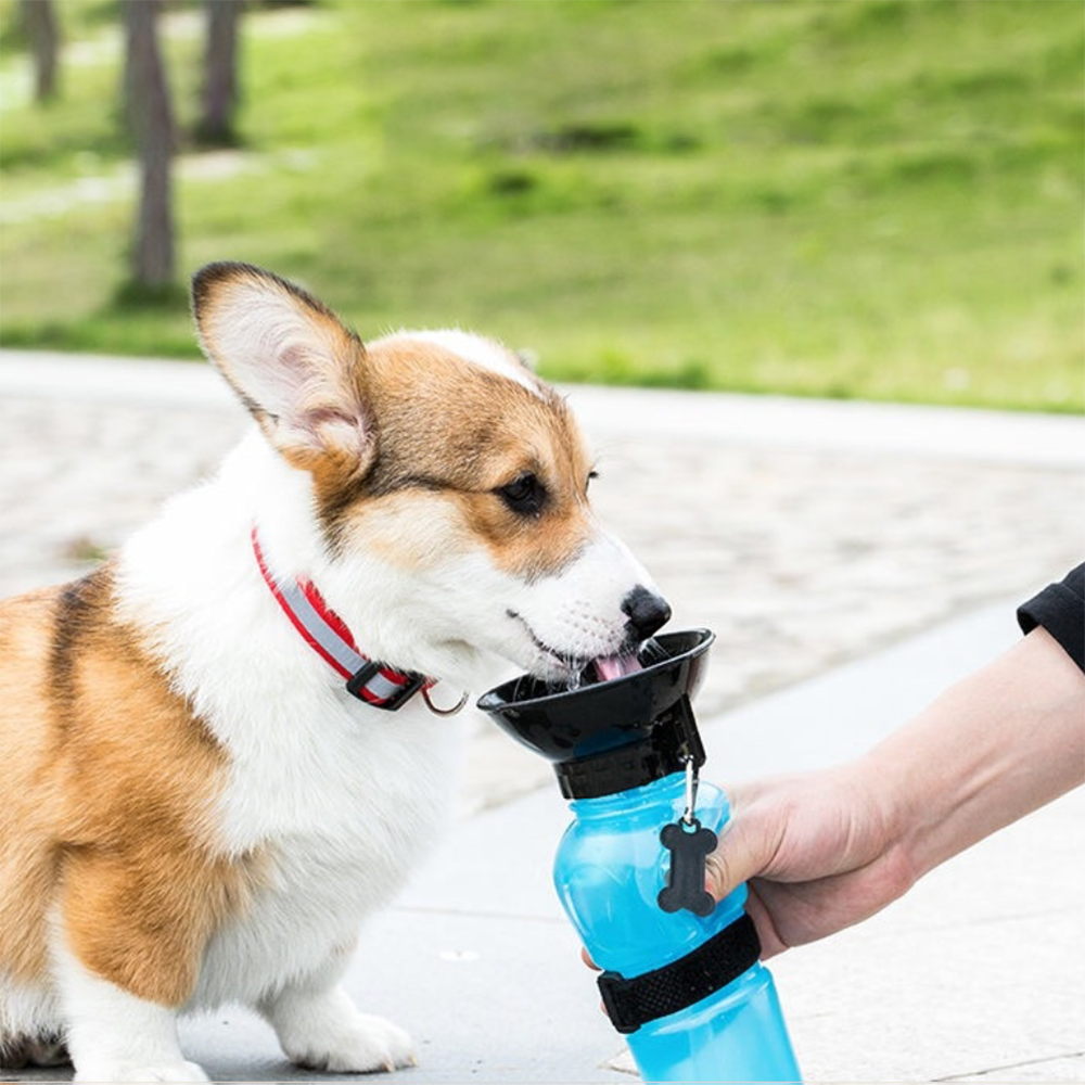 Ape Basics: Portable Pet Dog Water Bottle image