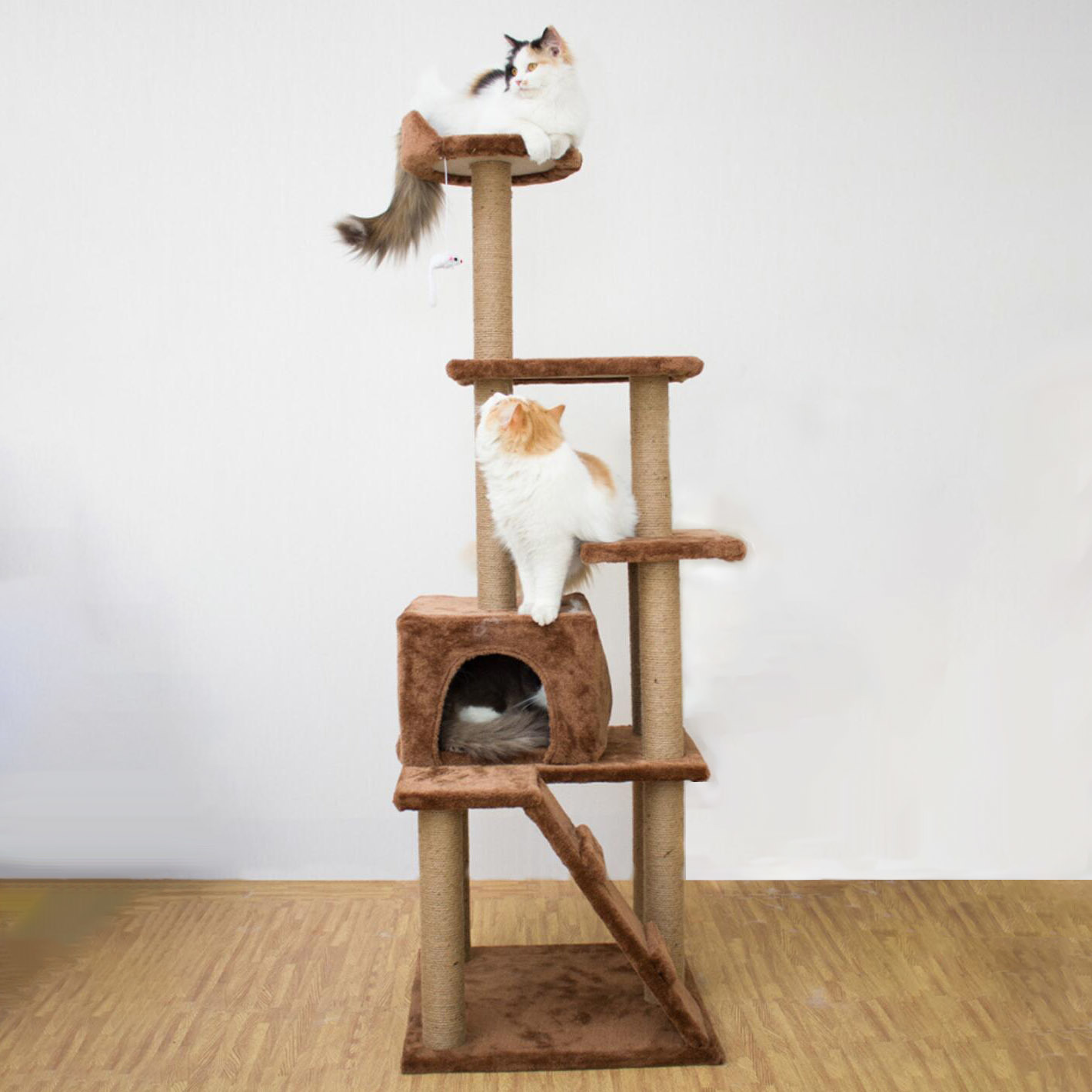Buy Ape Basics Cat Climbing Frame (Medium/Large) at Mighty Ape NZ