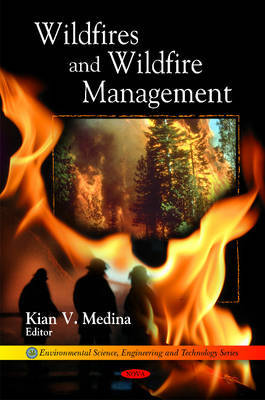 Wildfires & Wildfire Management image